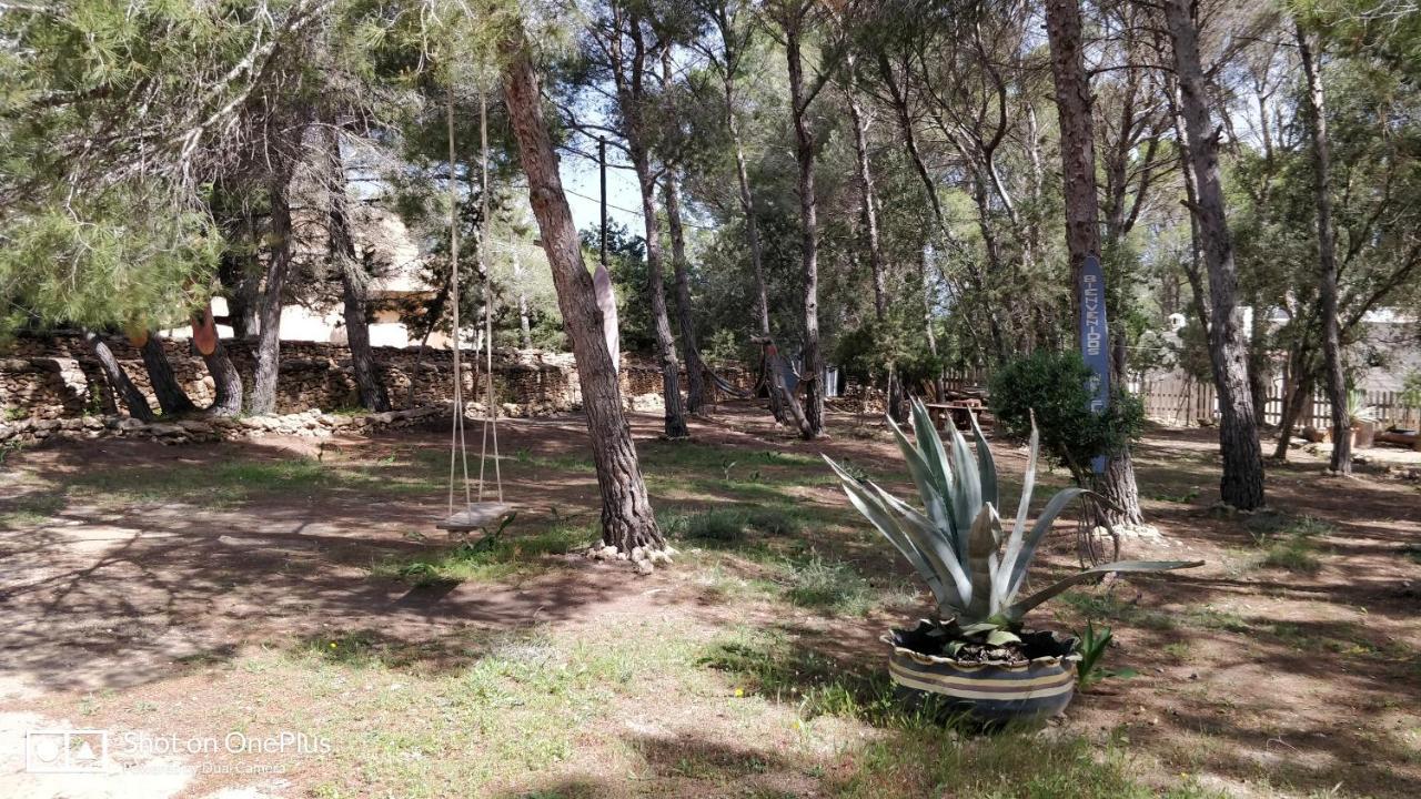 Casa Beja Villa San Francisco Javier Exterior photo